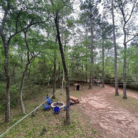 2 Bdrm Treehouse Hideout- Lake Conroe With Boat Ramp Монтгомери Экстерьер фото