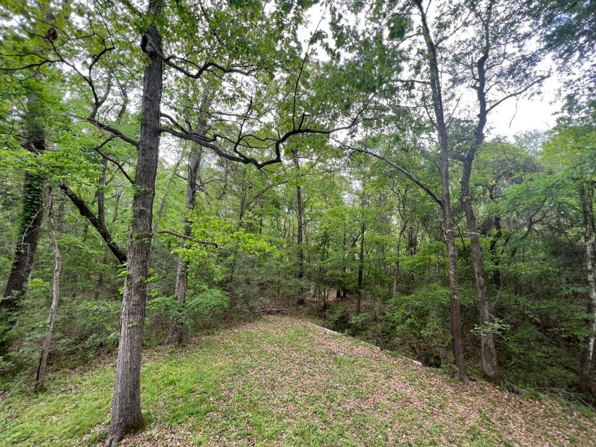 2 Bdrm Treehouse Hideout- Lake Conroe With Boat Ramp Монтгомери Экстерьер фото